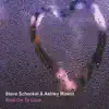 Steve Schenkel & Ashley Mason - Hold On To Love